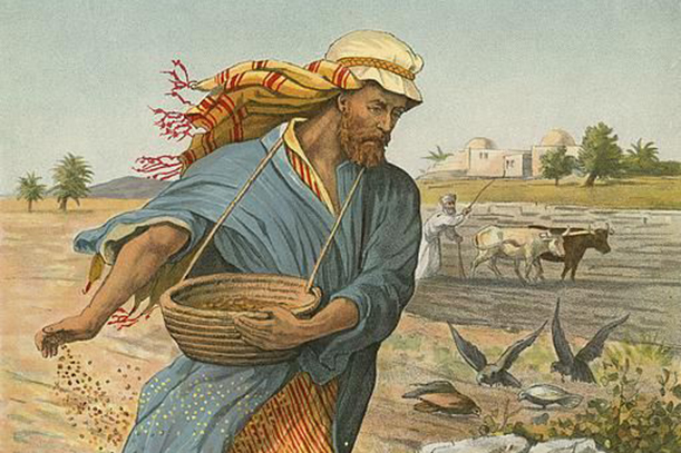 Domingu XVI Tempu Komún – Tinan A