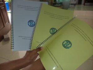 tutela_menor2